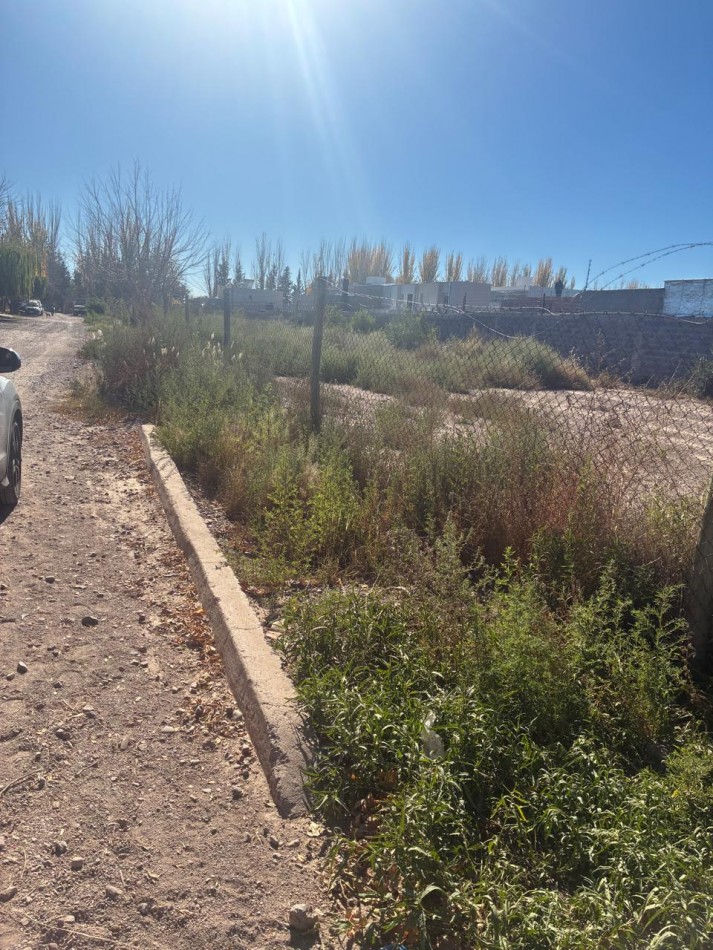 GREENWOOD VENDE LOTE 