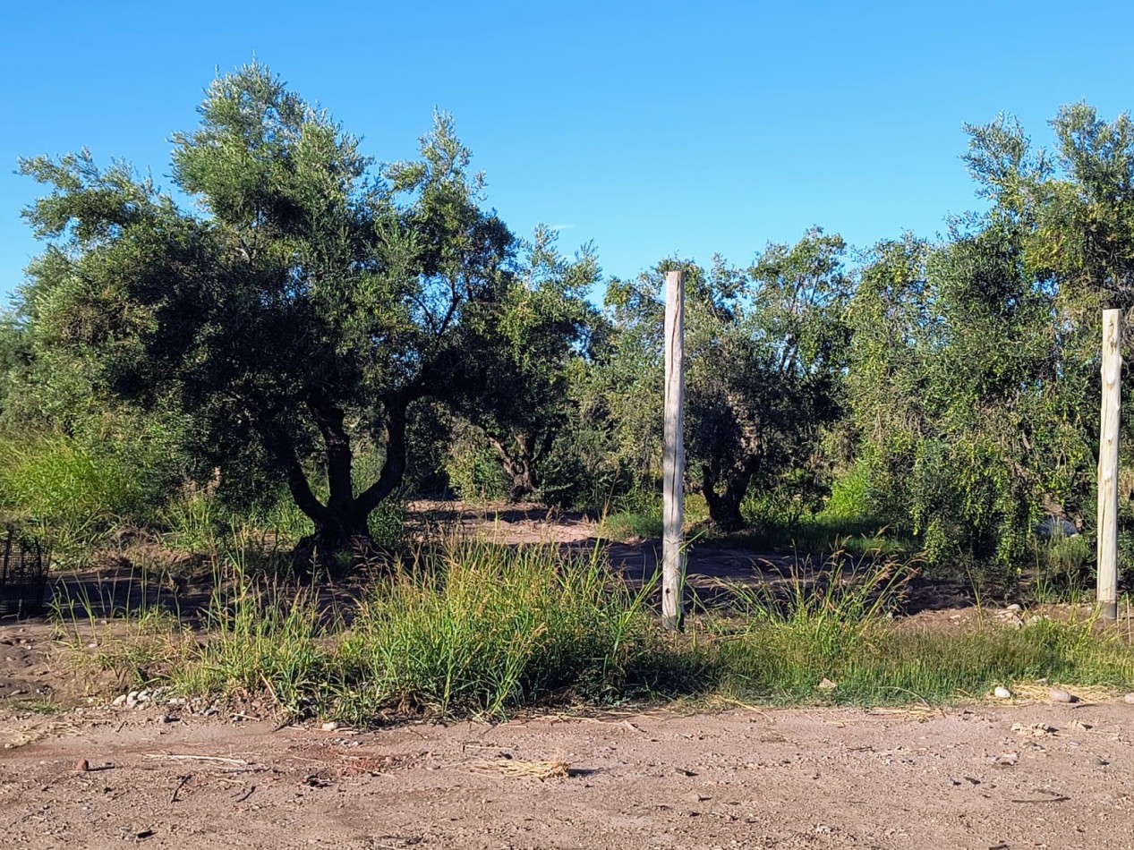 GREENWOOD INMOBILIARIA VENDE LOTES MAIPU