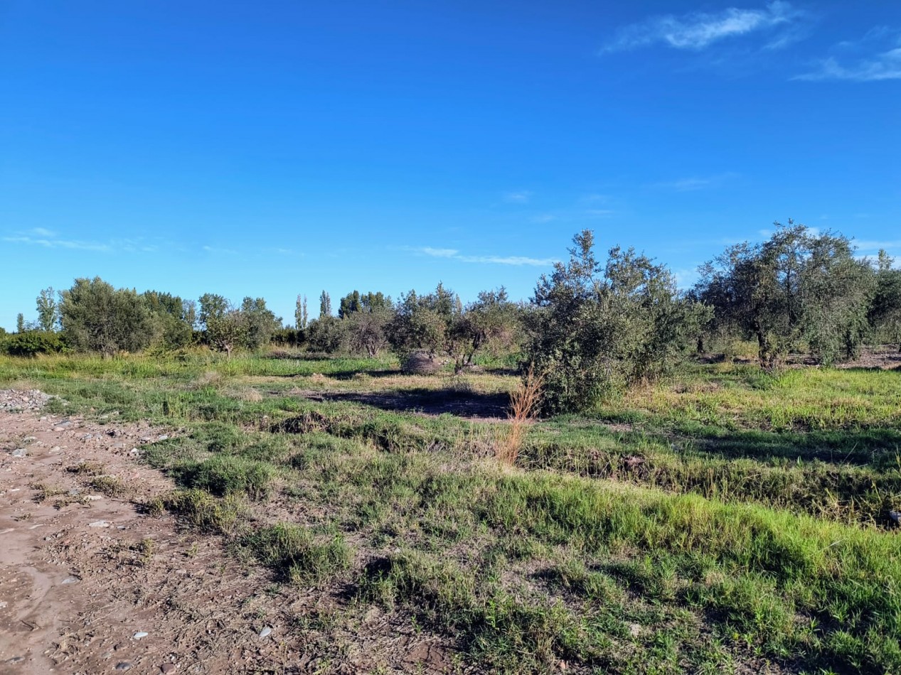 GREENWOOD INMOBILIARIA VENDE LOTES MAIPU