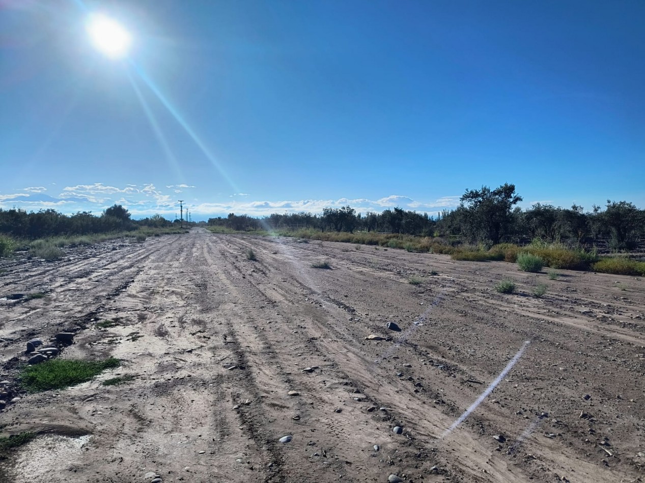 GREENWOOD INMOBILIARIA VENDE LOTES MAIPU