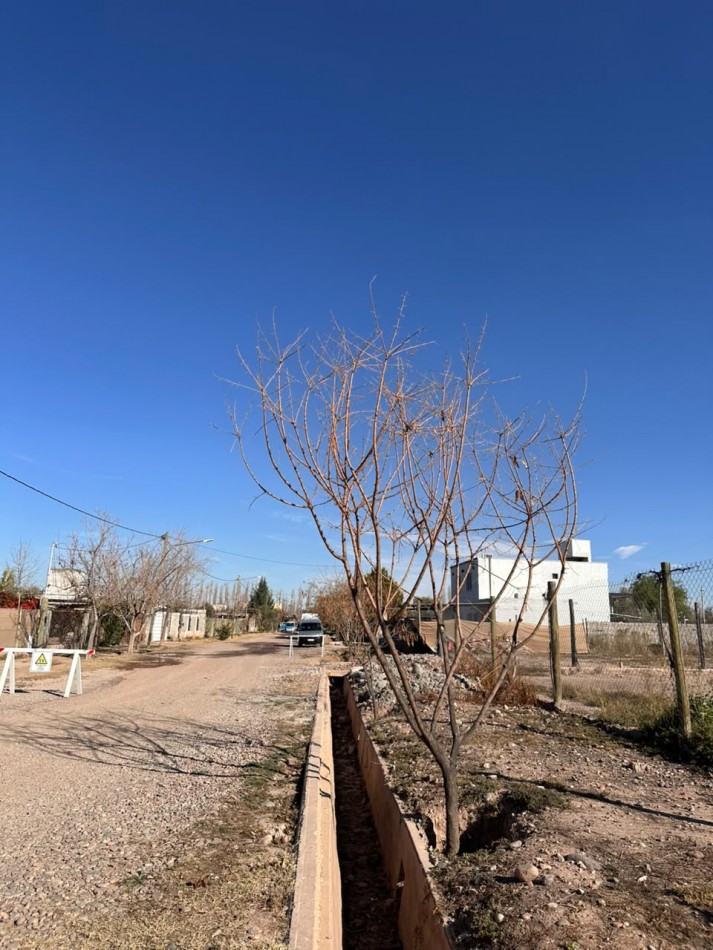 VENTA DE LOTE EN QUINTAS DE RUSSEL