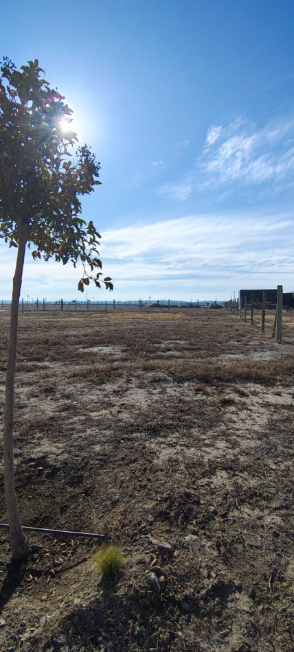 GREENWOOD VENDE "LOTE EN TUPUNGATO VALLEY"