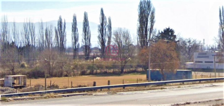 GREENWOOD VENDE AMPLIO Y FUNCIONAL LOTE EN RUTA 40, LUJAN DE CUYO.