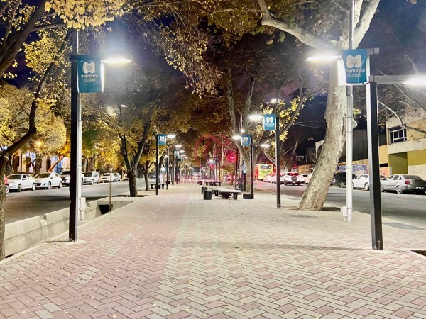 GREENWOOS VENDE HERMOSA CASA EN PLENO CENTRO DE MENDOZA