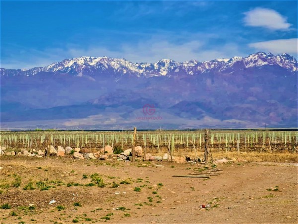 GREENWOOD VENDE INIGUALABLE FINCA EN VISTA FLORES TUNUYAN, EXCELENTE RENTABILIDAD, IDEAL EMPRENDIMIENTOS BOUTIQUE