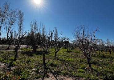 Greenwood vende Finca de 4 Hectareas.