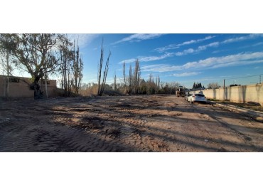  GREENWOOD INMOBILIARIA VENDE HERMOSOS LOTES EN MAYOR DRUMMOND!