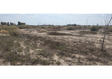 GREENWOOD INMOBILIARIA VENDE FINCA EN SANTA ROSA