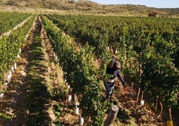 GREENWOOD INMOBILIARIA VENDE HERMOSA FINCA EN UGARTECHE 