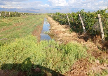 GREENWOOD INMOBILIARIA VENDE FINCA EN LAVALLE