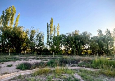 GREENWOOD INVERSIONES INMOBILIARIAS "VENDE LOTE" en B°LA ARBOLEDA",de Lujan de Cuyo 