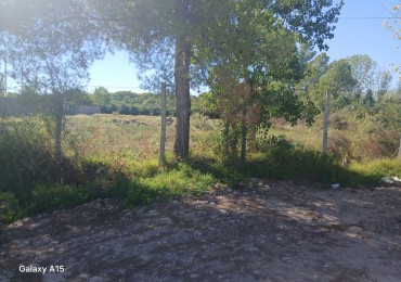 GREENWOOD INMOBILIARIA VENDE TERRENO EN LUJAN DE CUYO, PERDRIEL