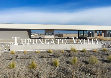 GREENWOOD VENDE "LOTE EN TUPUNGATO VALLEY"