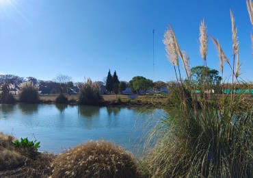 GREENWOOD INVERSIONES INMOBILIARIAS | ALQUILA