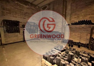 GREENWOOD VENDE FABULOSA FINCA CON VIÑEDO, CASA Y PEQUEÑA BODEGA ARTESANAL EN SAN RAFAEL