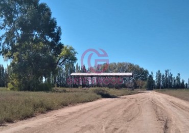 GREENWOOD ALQUILA FINCA PRODUCTIVA DE 88ha CON AGUA DE POZO Y DERECHO DE RIEGO